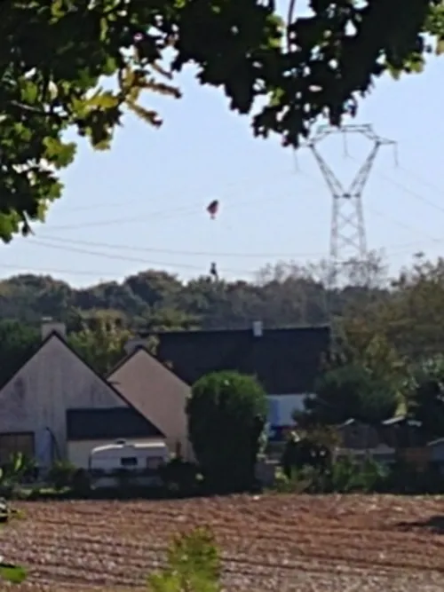 ee0fznswsaabvli 584x779