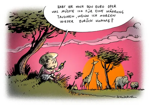eurokrise merkel afrika 1359365