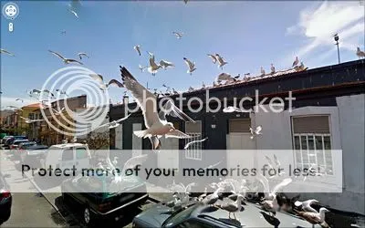 gsv5 matosinhos portugal 001