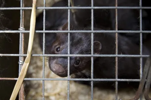 hh 327319258 584x389