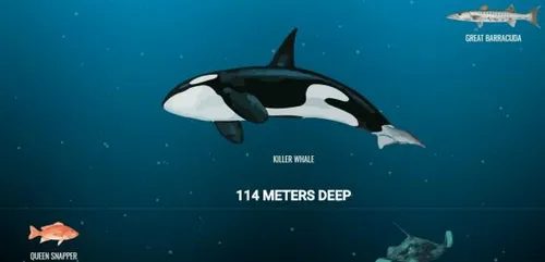 hh 400743934 1 584x281