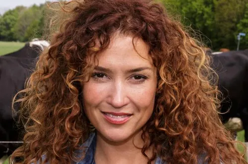 hh 89061484 1 584x387