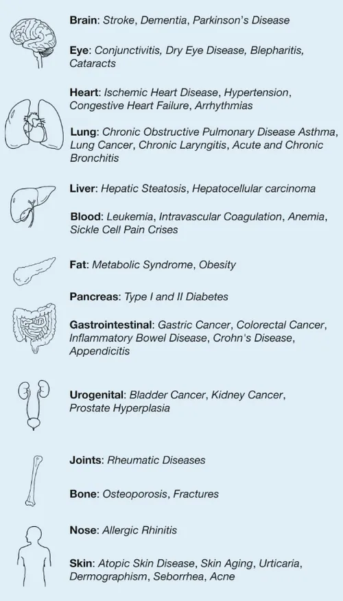 large 7wzzswnbaspnj2ru3ljhyozu5apfvshp6ylioqv1ok4