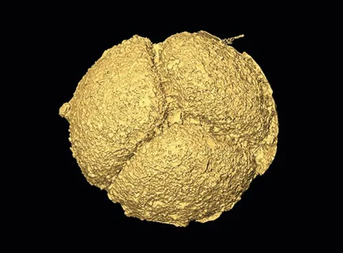 lowfossilearth 00214129710901413216911 281