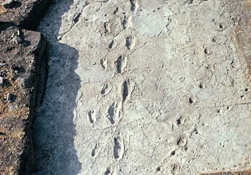 lowfossilearth 00914129710991413216912