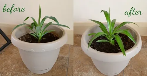 mayo rescue 10 unexpected non food uses for mayonnaisew654