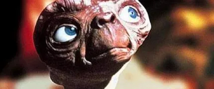 media xll 1317573 430x180