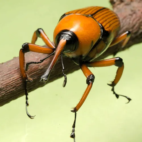 methode2ftimes2fprod2fweb2fbin2f2836b9d6 03be 11e9 9685 be54be25c61a