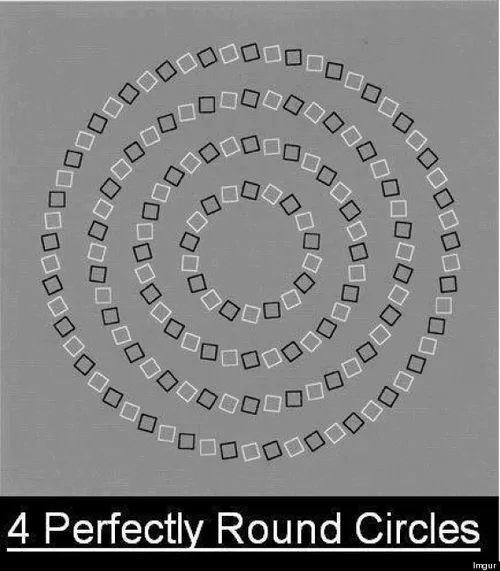 o optical illusions 570
