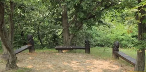 penis park 2