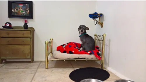 schermafbeelding 2016 09 08 om 142929 584x330