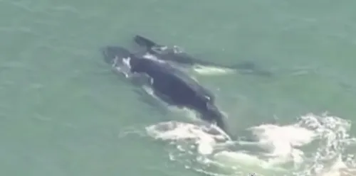 schermafbeelding 2016 10 07 om 114707 584x290