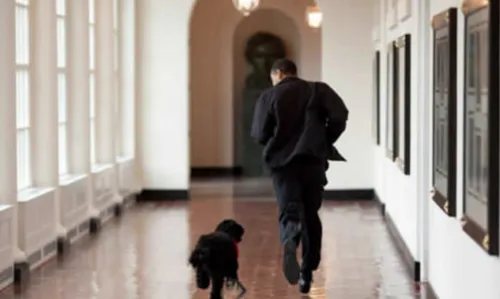 schermafbeelding 2016 11 19 om 084818 584x349