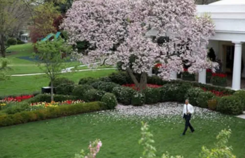 schermafbeelding 2016 11 19 om 085424 584x376