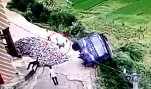 schermafbeelding 2016 12 05 om 173755 584x347