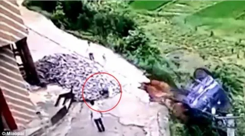 schermafbeelding 2016 12 05 om 173836 584x324