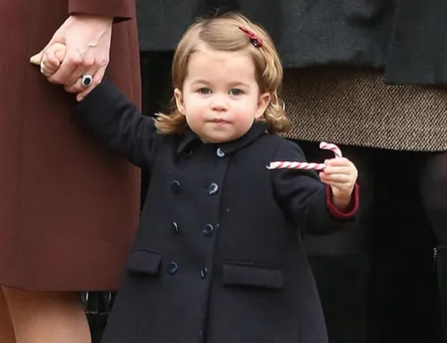 schermafbeelding 2016 12 26 om 072704 584x447