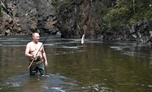 schermafbeelding 2017 08 06 om 084949 584x356