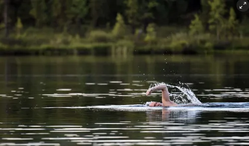 schermafbeelding 2017 08 06 om 085008 584x342