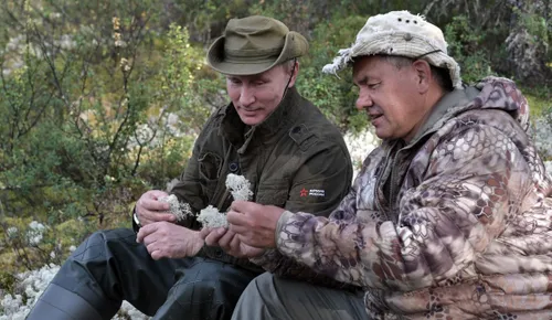 schermafbeelding 2017 08 06 om 085039 584x339