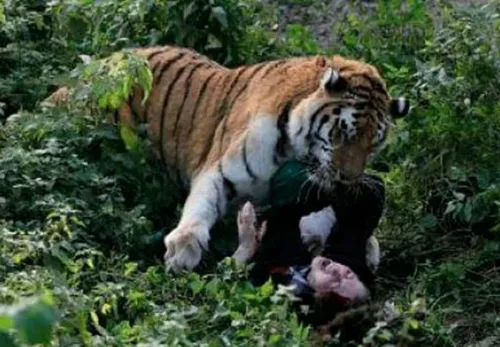 schermafbeelding 2017 11 07 om 184449 584x405