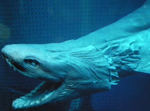 schermafbeelding 2017 11 14 om 064158 584x435