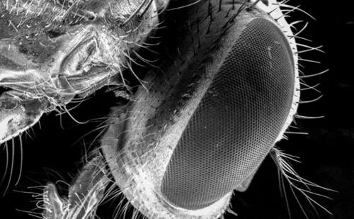 schermafbeelding 2017 11 26 om 063900 584x361