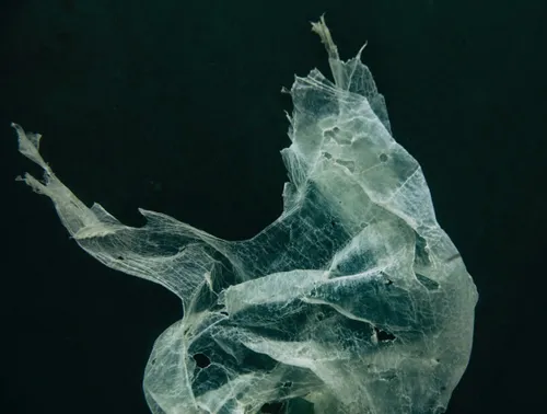 schermafbeelding 2017 11 26 om 072138 584x442