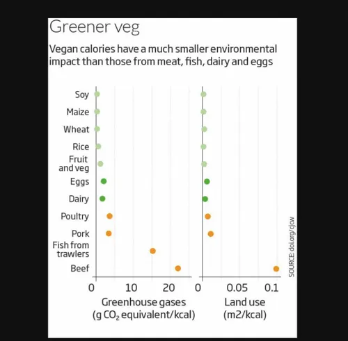 schermafbeelding 2018 01 28 om 092854 584x573