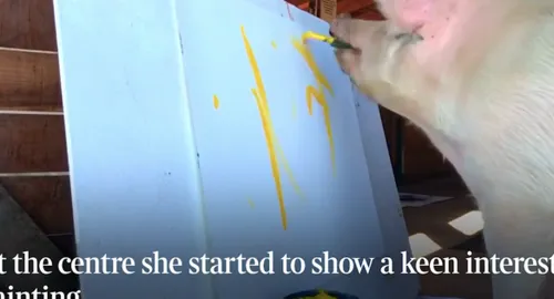 schermafbeelding 2018 02 28 om 055405 584x315