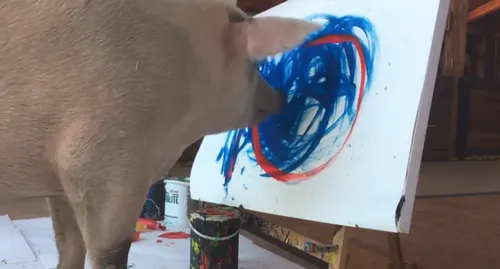 schermafbeelding 2018 02 28 om 055435 584x314