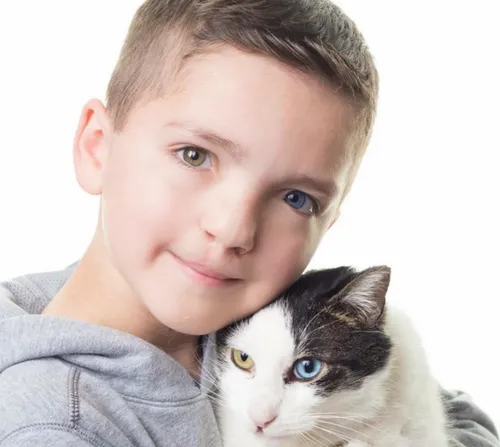 schermafbeelding 2018 03 29 om 070100 584x522