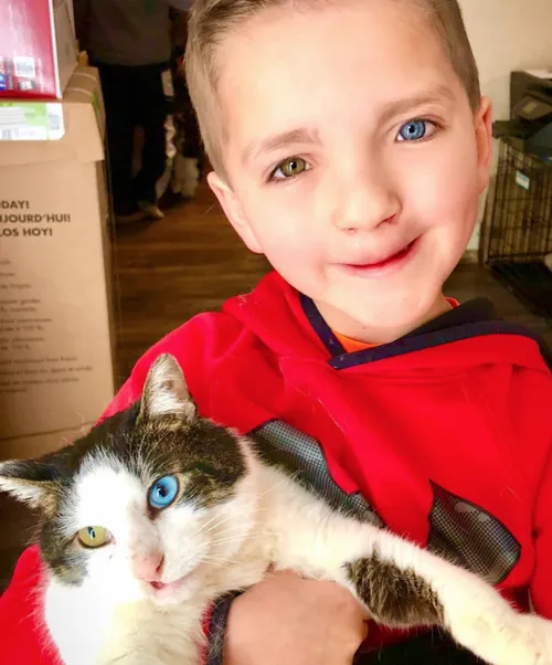 schermafbeelding 2018 03 29 om 070703 584x703