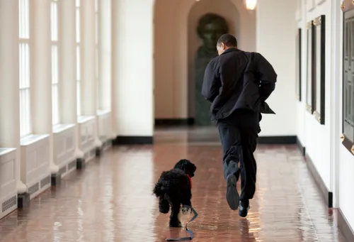 schermafbeelding 2018 04 01 om 180322 584x398