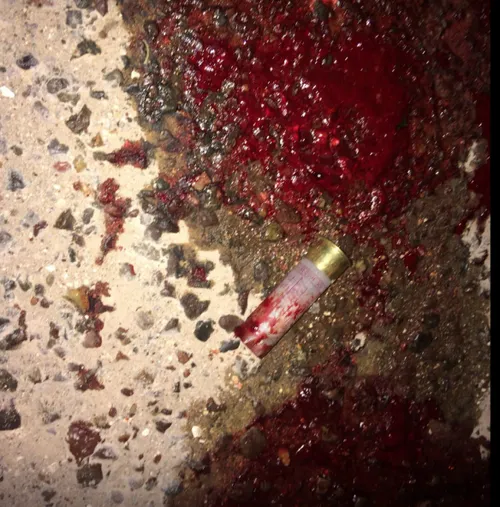 schermafbeelding 2018 04 16 om 201713 584x592