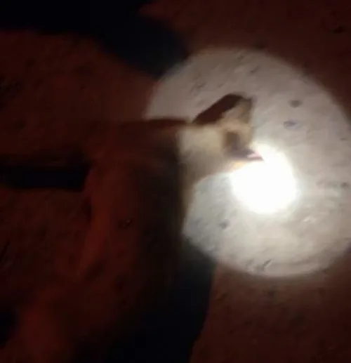 schermafbeelding 2018 04 16 om 202020 584x604