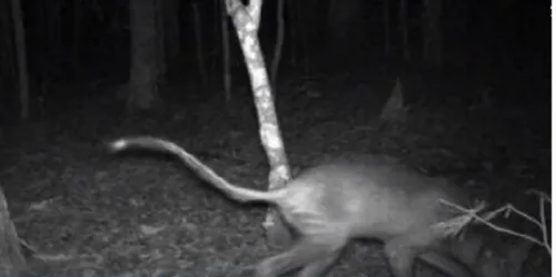 schermafbeelding 2018 04 20 om 133500 584x291