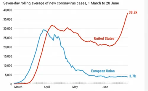 screenshot 1 1 584x361