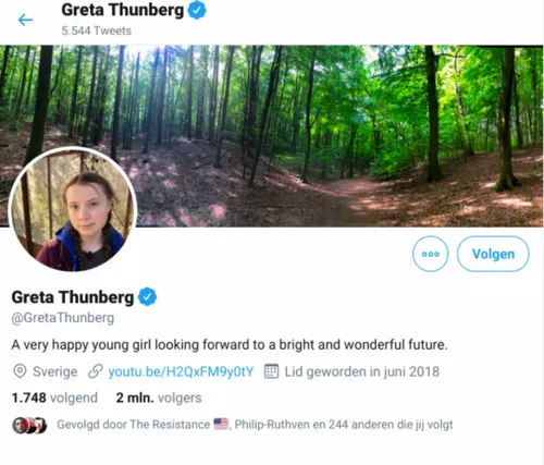 screenshot 12 1 584x499