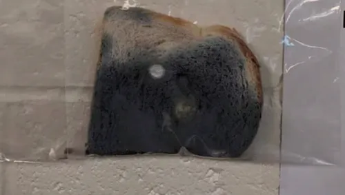 screenshot 6 1 584x330