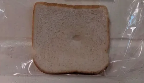 screenshot 7 584x336