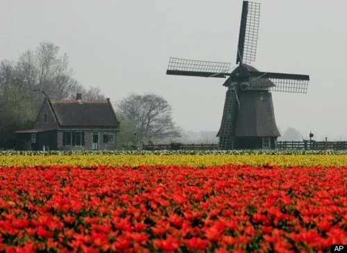 slide 10379 136640 large