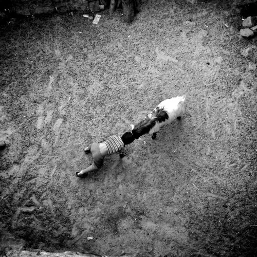 slide 412990 5219046 free 1 584x584