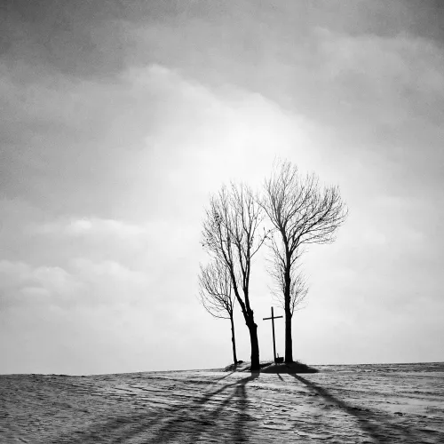 slide 412990 5219082 free