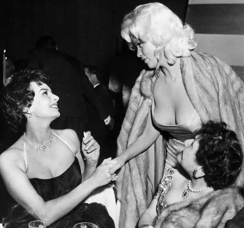 sophia jayne 2 584x547