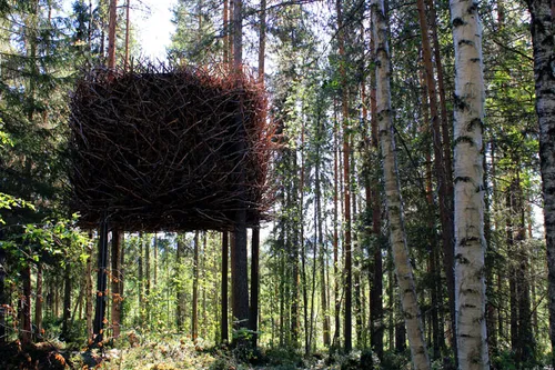 treehotel photo peter lundstrom yatzer 3