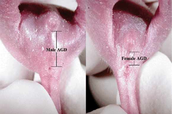 tx1608 fig 0001 1 full