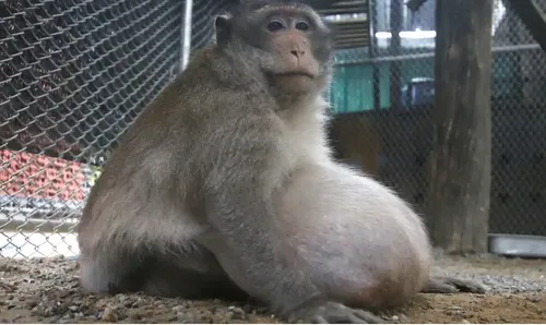 schermafbeelding 2024 05 22 om 100222