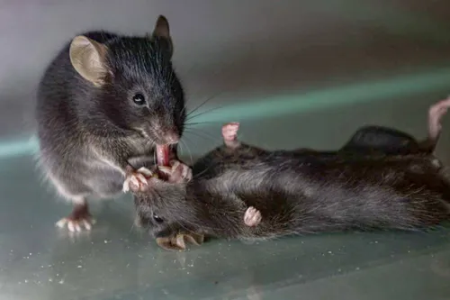 b825593e 8171 42aa 895f 208ff72bd84f