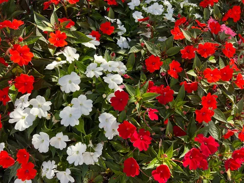 shutterstock 2375826699